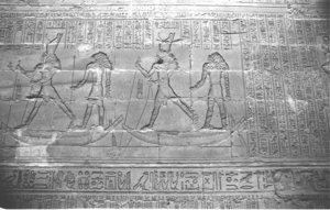 Photo »1157« aus dem Edfu-Projekt.