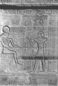 Photo »4293« aus dem Edfu-Projekt.