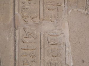 Photo »D05_6568« of the Edfu-Project.