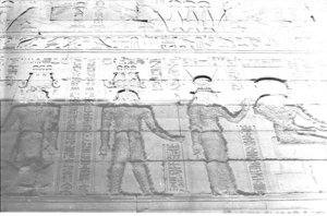 Photo »1113« aus dem Edfu-Projekt.