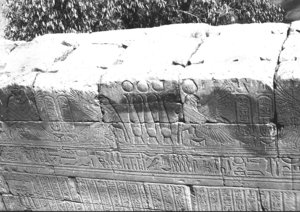 Photo »3017« aus dem Edfu-Projekt.