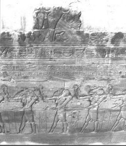 Photo »3050« aus dem Edfu-Projekt.