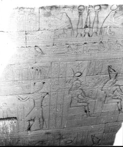 Photo »3092« aus dem Edfu-Projekt.