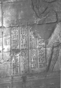 Photo »3929« aus dem Edfu-Projekt.