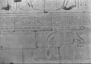 Photo »703« of the Edfu-Project.