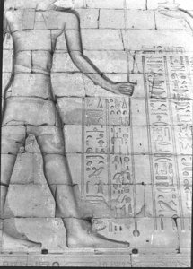 Photo »1059« aus dem Edfu-Projekt.