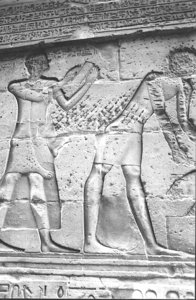 Photo »1327« aus dem Edfu-Projekt.