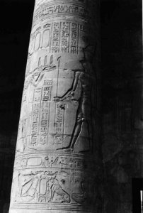 Photo »1643« of the Edfu-Project.