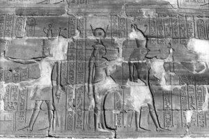 Photo »296« aus dem Edfu-Projekt.