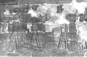 Photo »303« aus dem Edfu-Projekt.