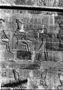 Photo »476« aus dem Edfu-Projekt.