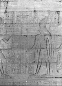 Photo »811« of the Edfu-Project.