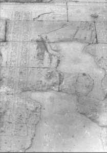 Photo »873« aus dem Edfu-Projekt.