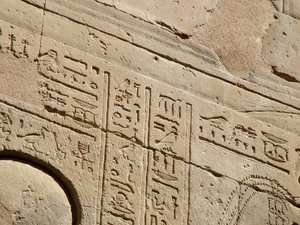 Photo »D05_1661« aus dem Edfu-Projekt.