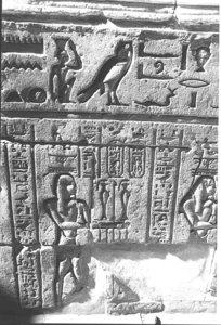 Photo »1170« aus dem Edfu-Projekt.