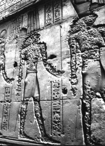 Photo »2958« aus dem Edfu-Projekt.