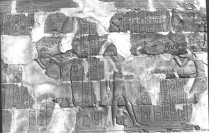 Photo »306« aus dem Edfu-Projekt.