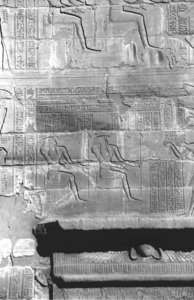 Photo »4074« aus dem Edfu-Projekt.