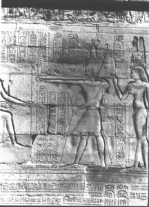 Photo »424« aus dem Edfu-Projekt.