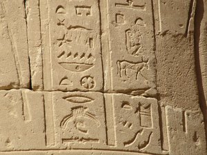 Photo »D05_6843« of the Edfu-Project.