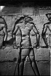 Photo »1276« aus dem Edfu-Projekt.