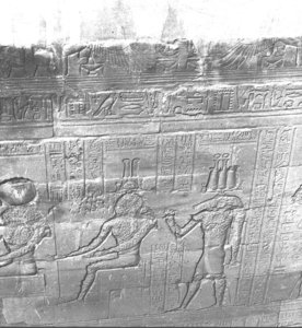 Photo »3036« aus dem Edfu-Projekt.