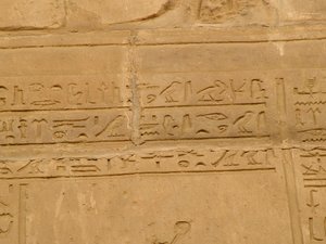 Photo »D05_2009« aus dem Edfu-Projekt.