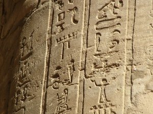 Photo »D05_6129« of the Edfu-Project.