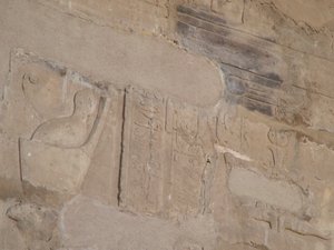Photo »D05_6703« of the Edfu-Project.