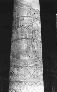 Photo »1650« of the Edfu-Project.