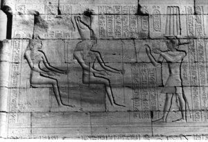 Photo »336« aus dem Edfu-Projekt.