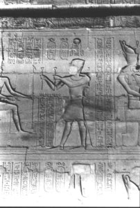 Photo »392« aus dem Edfu-Projekt.