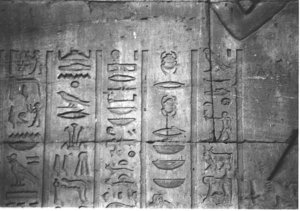 Photo »4146« aus dem Edfu-Projekt.