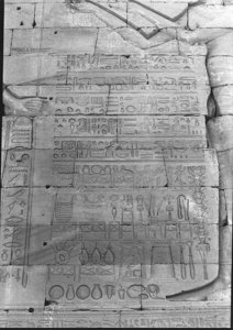 Photo »1049« aus dem Edfu-Projekt.