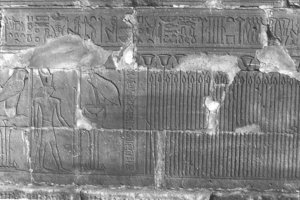 Photo »236« aus dem Edfu-Projekt.