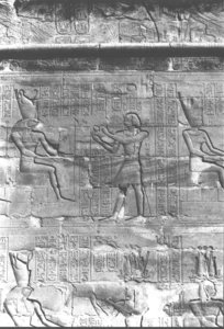 Photo »408« aus dem Edfu-Projekt.
