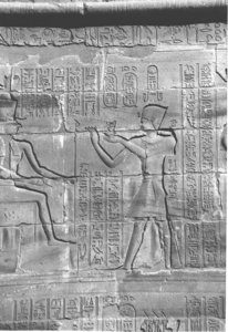 Photo »4279« aus dem Edfu-Projekt.