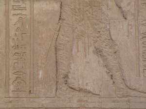 Photo »D05_6775« aus dem Edfu-Projekt.