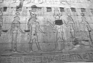 Photo »1486« aus dem Edfu-Projekt.
