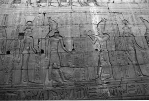 Photo »1489« aus dem Edfu-Projekt.