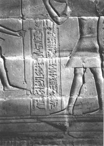 Photo »4014« aus dem Edfu-Projekt.