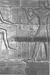 Photo »4294« aus dem Edfu-Projekt.