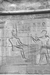 Photo »4348« aus dem Edfu-Projekt.