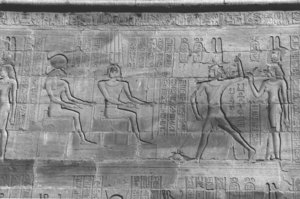 Photo »4423« aus dem Edfu-Projekt.