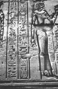 Photo »1301« aus dem Edfu-Projekt.