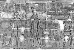 Photo »272« aus dem Edfu-Projekt.