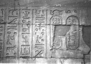 Photo »4158« aus dem Edfu-Projekt.
