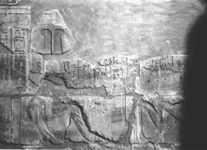Photo »4179« aus dem Edfu-Projekt.