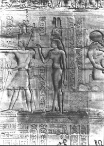 Photo »425« aus dem Edfu-Projekt.