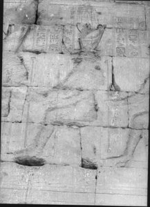 Photo »894« aus dem Edfu-Projekt.